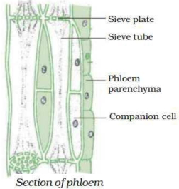 Solution diagram