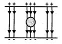 Option A