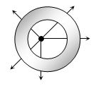 Option B
