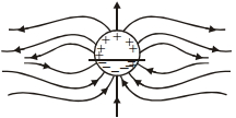 Option B