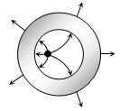 Option C