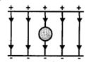 Option C