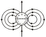 Option D