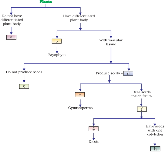 Question diagram