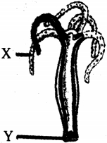 Question diagram