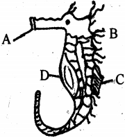 Question diagram