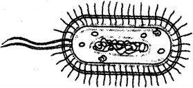 Solution diagram