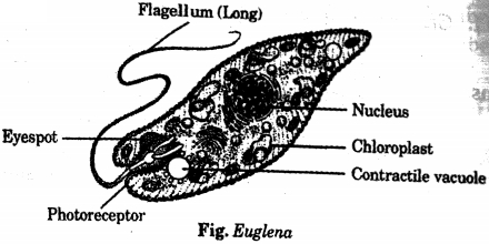 Solution diagram
