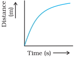 Option C