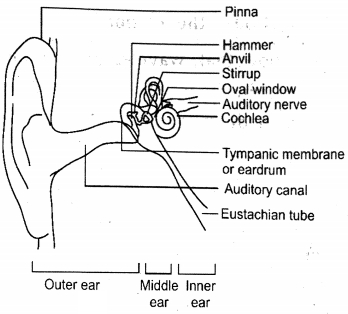 Solution diagram