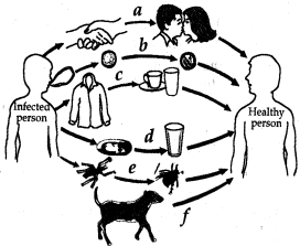 Question diagram