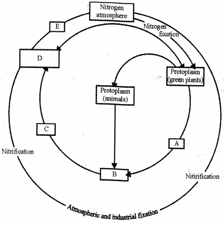 Question diagram