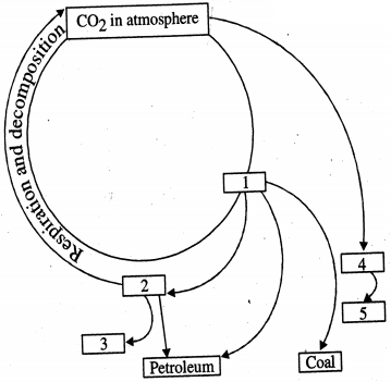 Question diagram