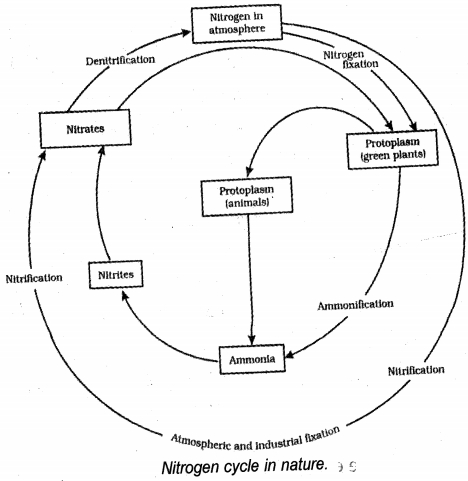 Solution diagram
