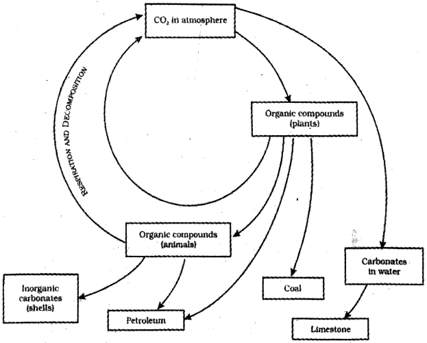 Solution diagram