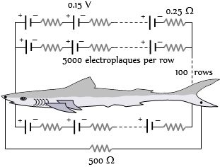 Question diagram