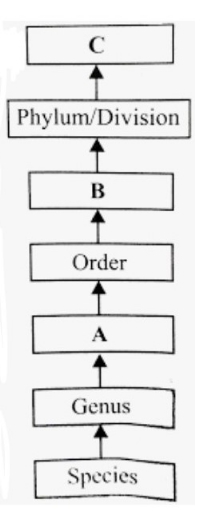 Question diagram