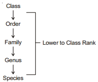 Solution diagram