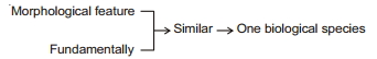Solution diagram