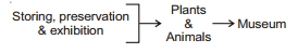 Solution diagram