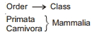 Solution diagram
