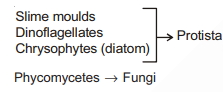 Solution diagram