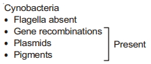 Solution diagram