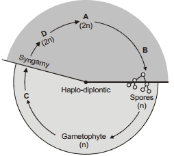 Question diagram