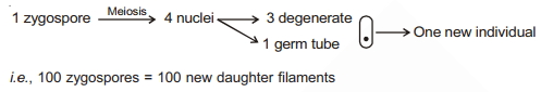 Solution diagram