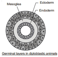 Solution diagram