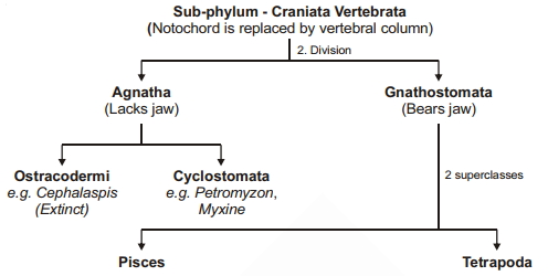 Solution diagram