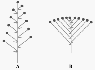 Question diagram