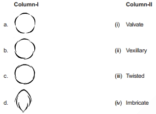 Question diagram