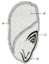 Question diagram