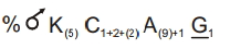 Option B