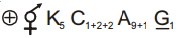 Option C