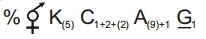 Option D