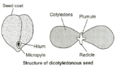 Solution diagram