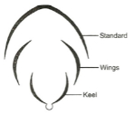 Solution diagram