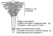 Solution diagram