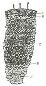 Question diagram