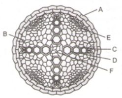 Question diagram