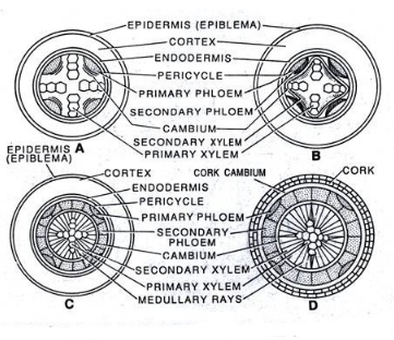 Solution diagram