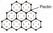 Solution diagram