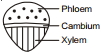 Solution diagram