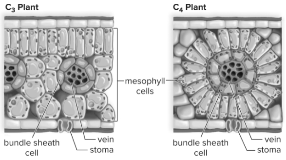 Solution diagram