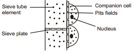 Solution diagram