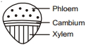 Solution diagram