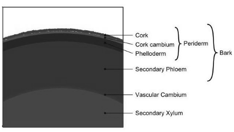 Solution diagram