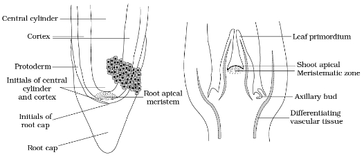 Solution diagram